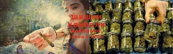 гидропоника Нея