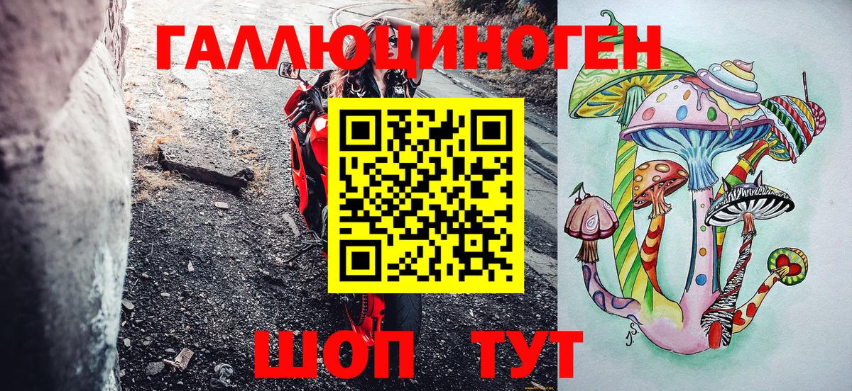 Галлюциногенные грибы Psilocybine cubensis  Вход с VPN  Переславль-Залесский 