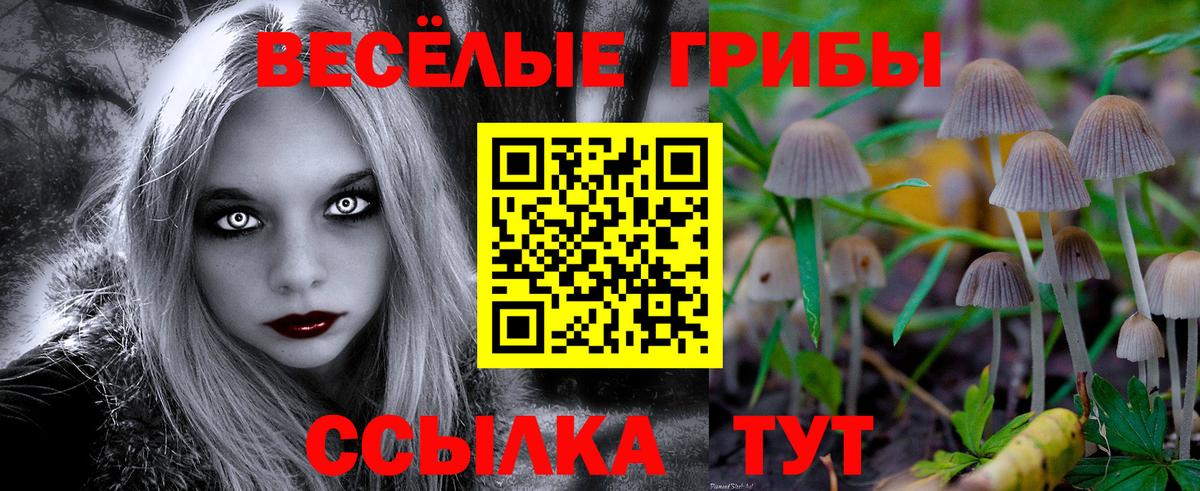 Псилоцибиновые грибы Cubensis Переславль-Залесский